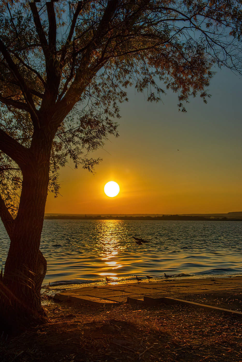 "Вечерний звон..."