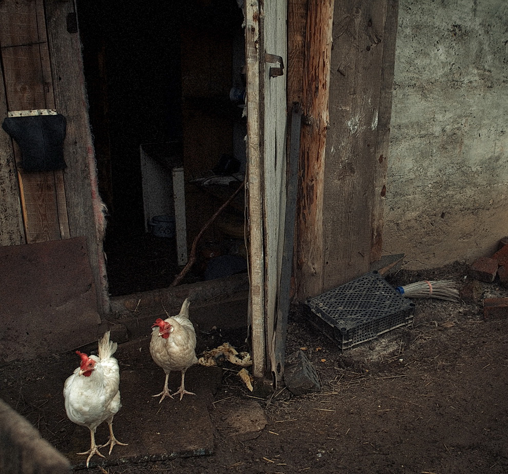 Гостеприимство.