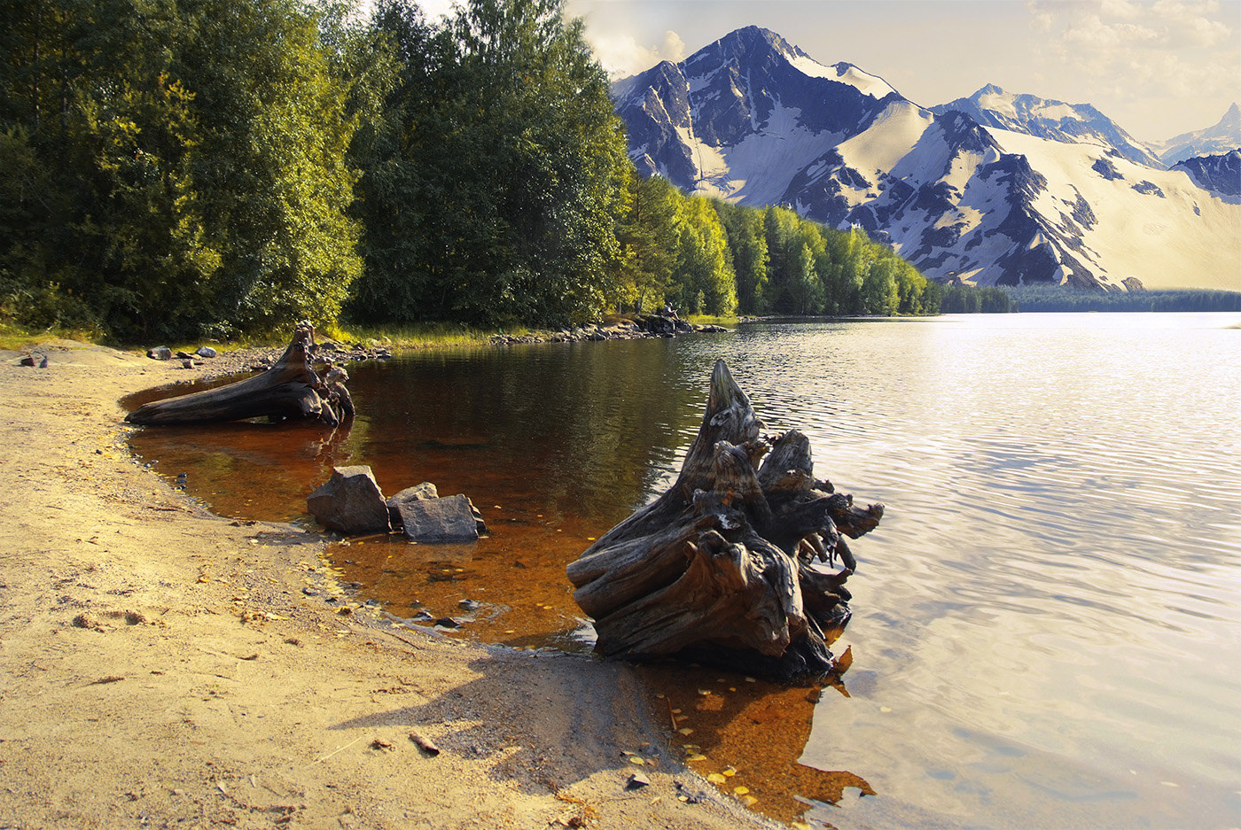 Корешки и вершки