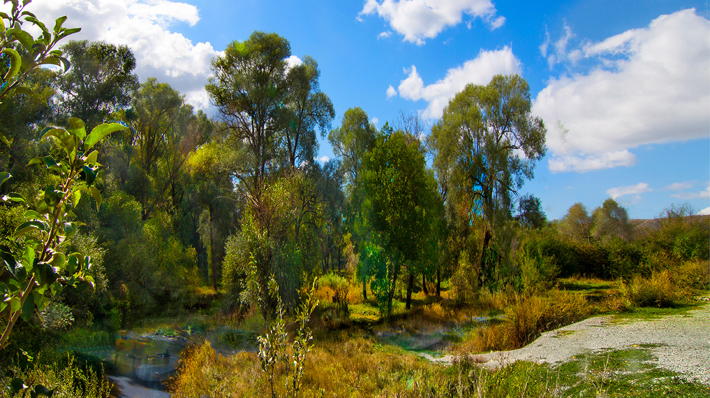 Прогулка вдоль речки