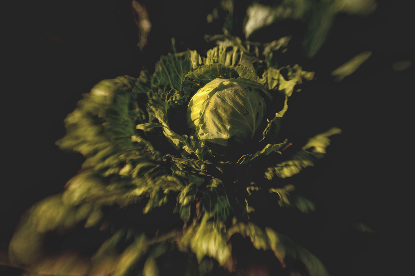 Жизнь вокруг