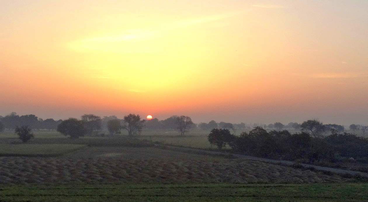 Южное утро туманное
