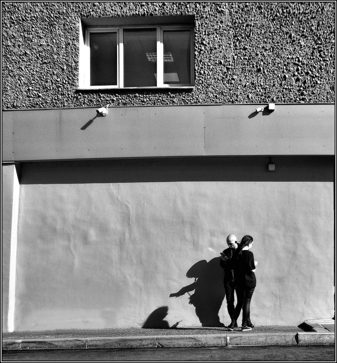 ....Теневые двойники .....