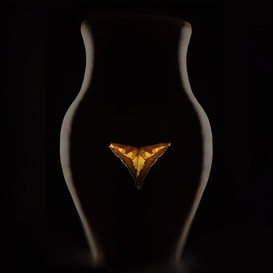 идеальный кувшин