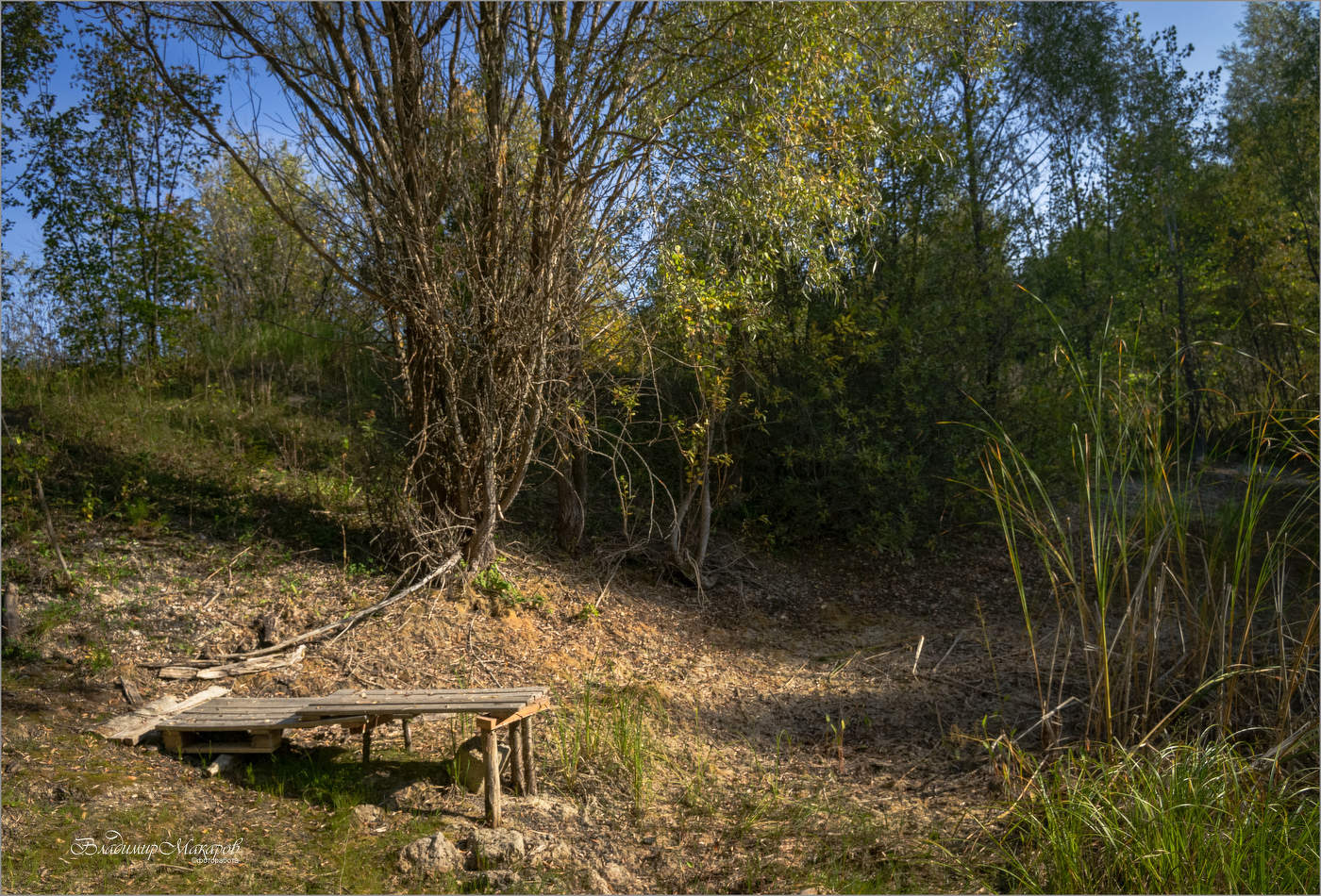 "Мосток у пересохшего водоема. Сентябрь"©
