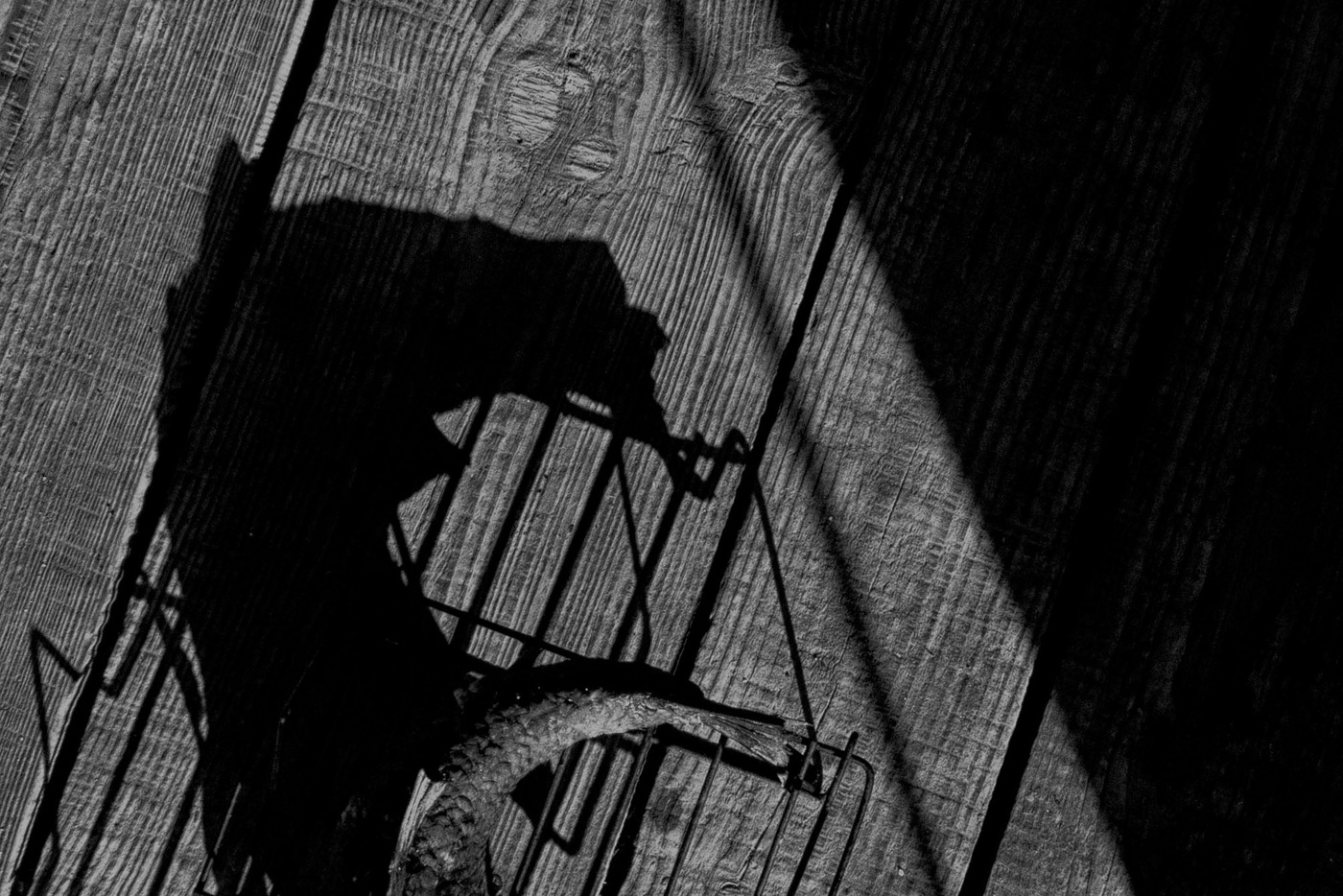 Жизнь вокруг