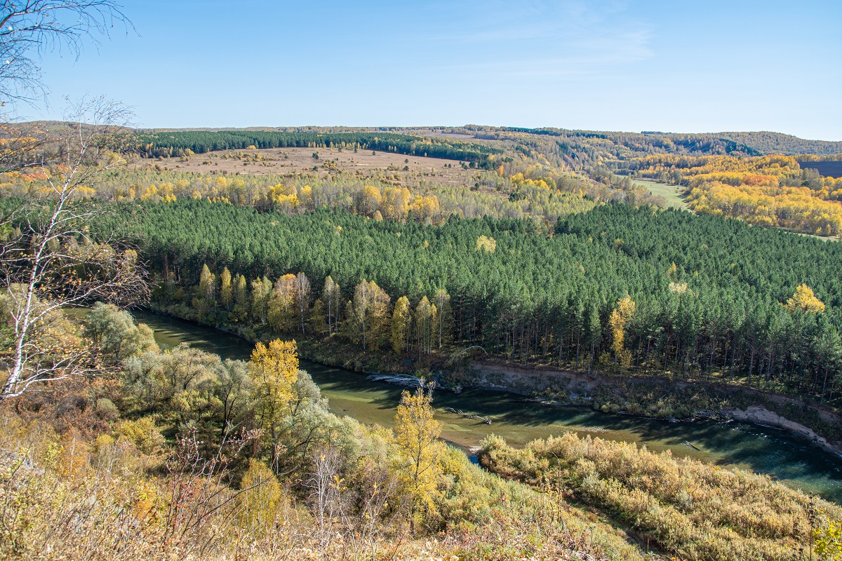 Осенняя пора