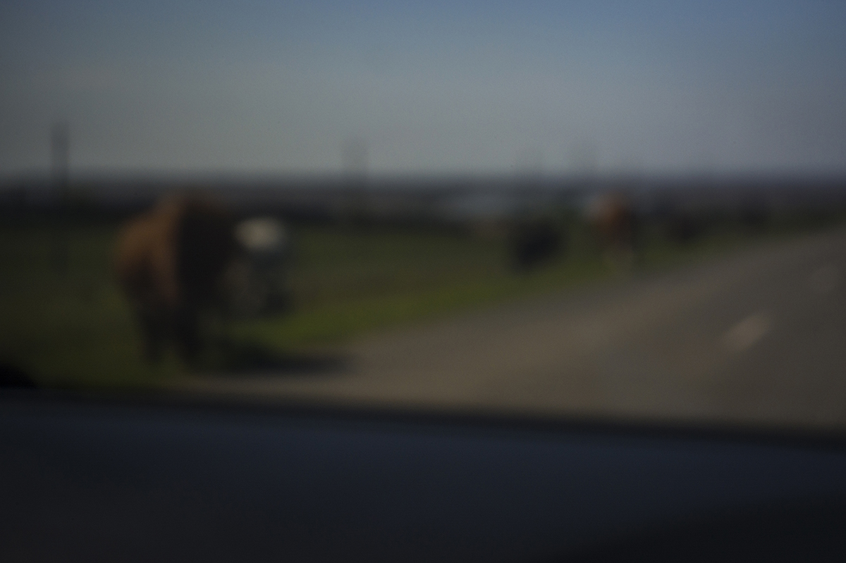 *подорожное*