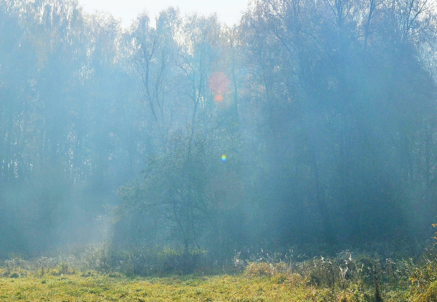 Утренняя атмосфера ...