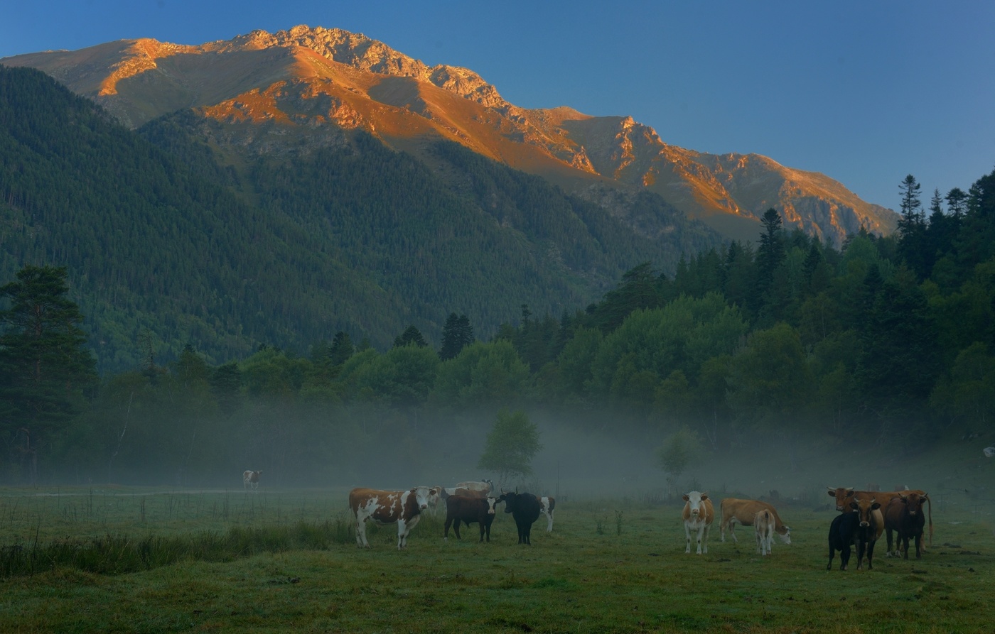 Рассвет в горах