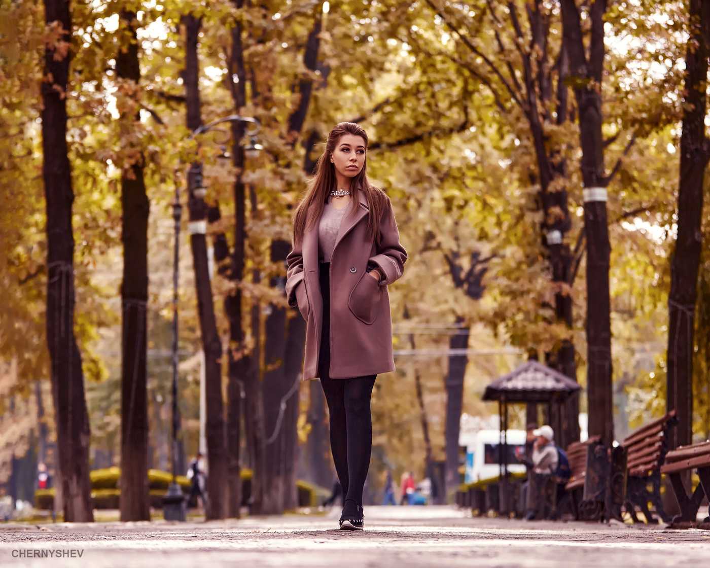 из альбома "логика листьев".