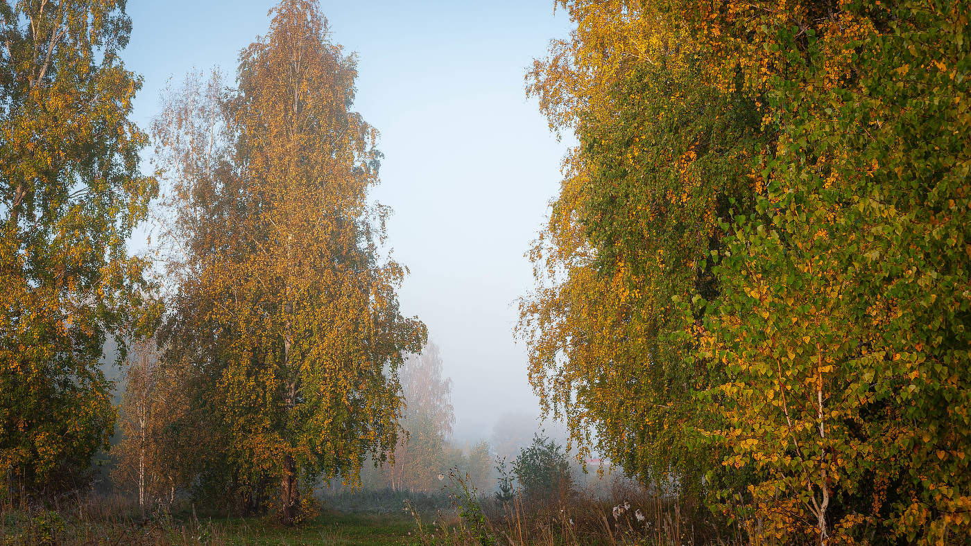 Осенние мотивы.