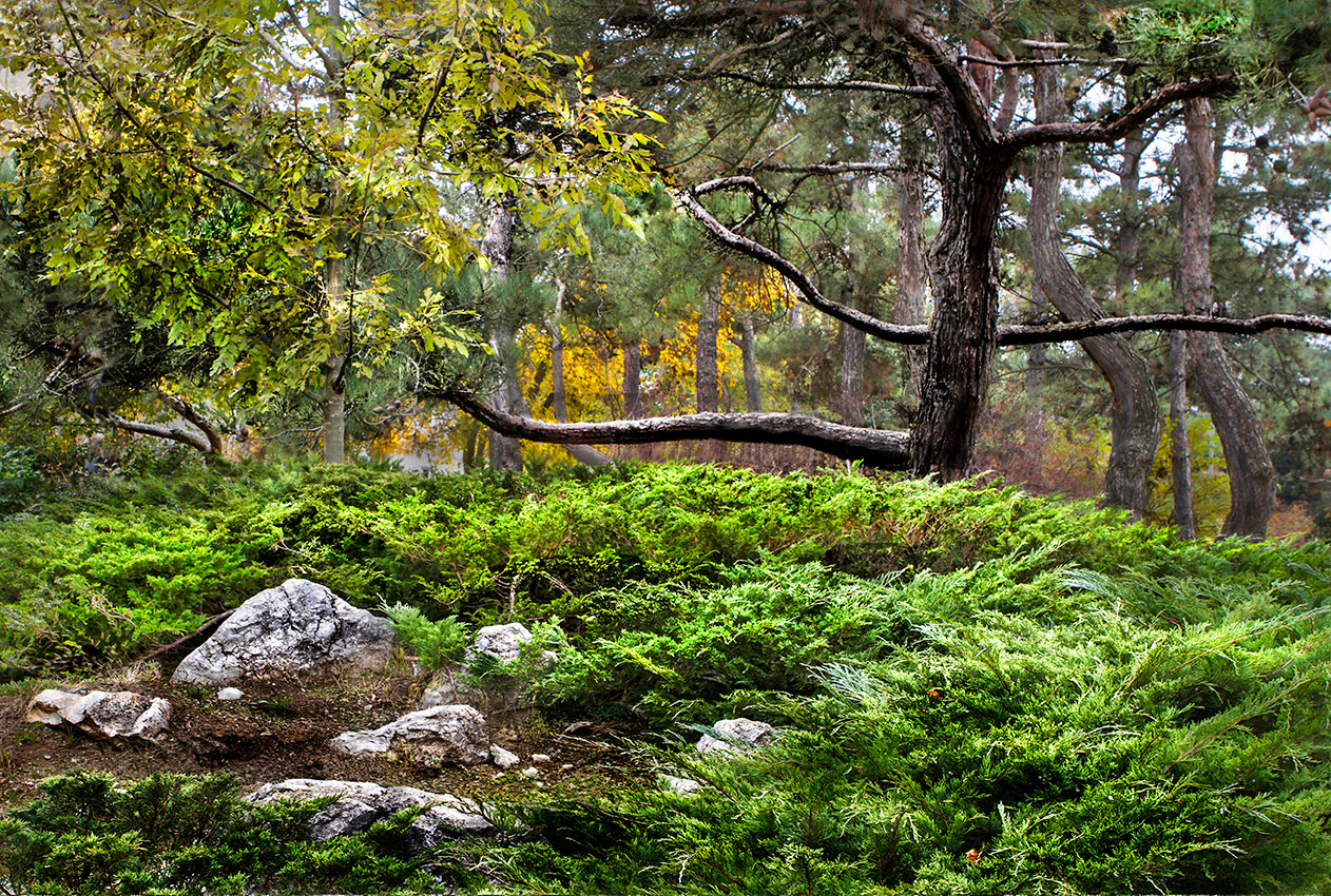 Парковая осень