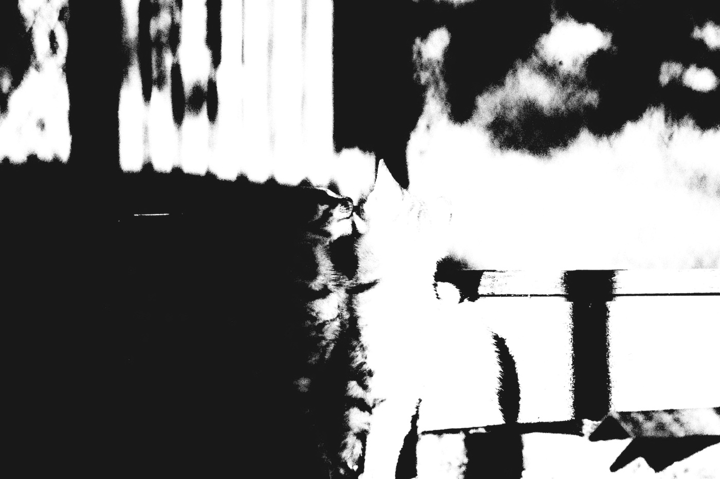 Жизнь вокруг