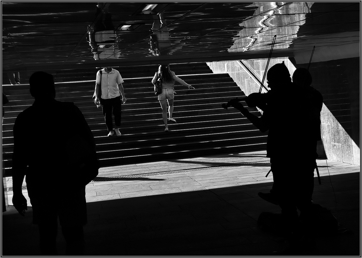 ..... Скрипка ....