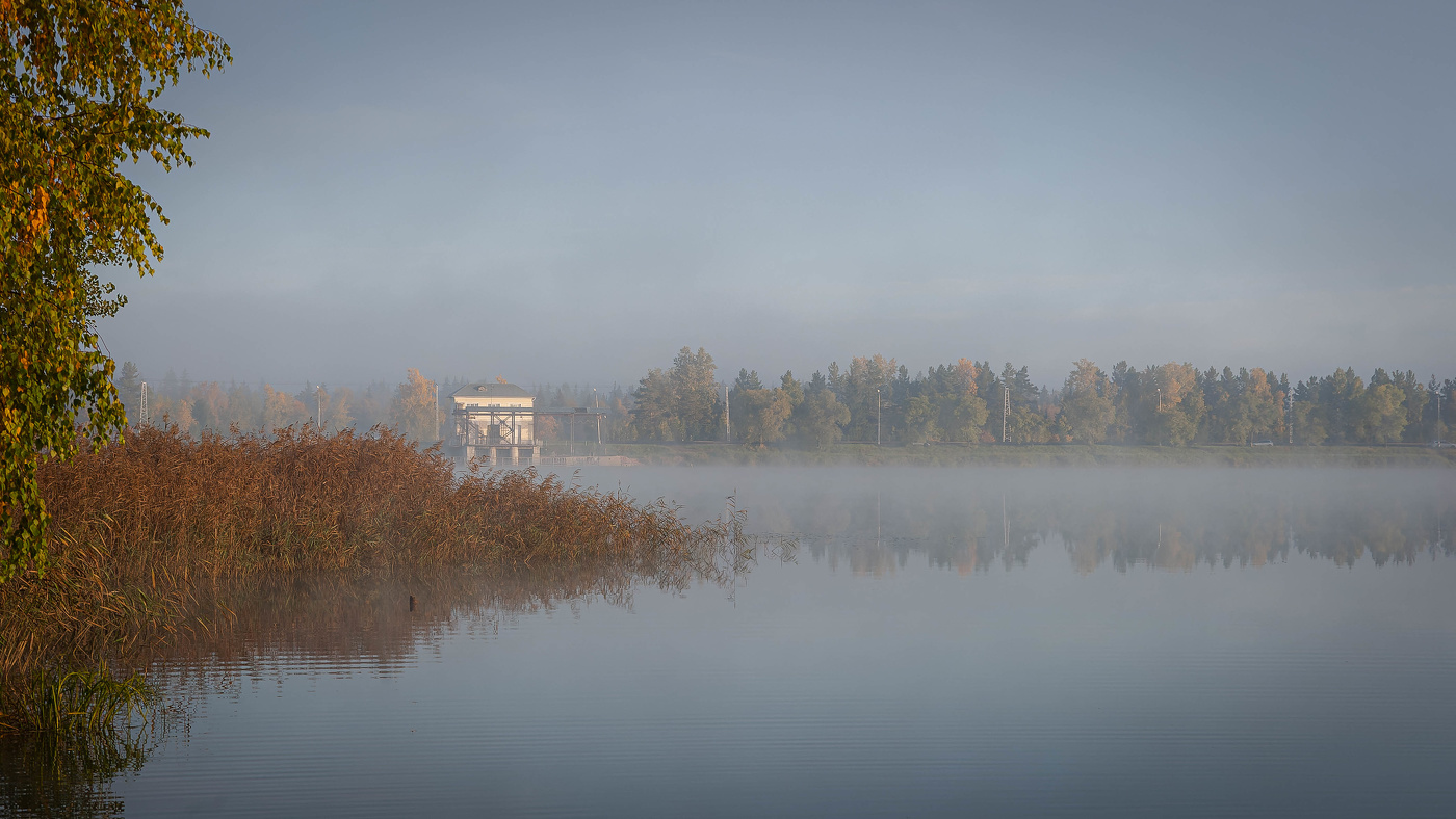 Утро, окутанное туманом, над водной гладью.