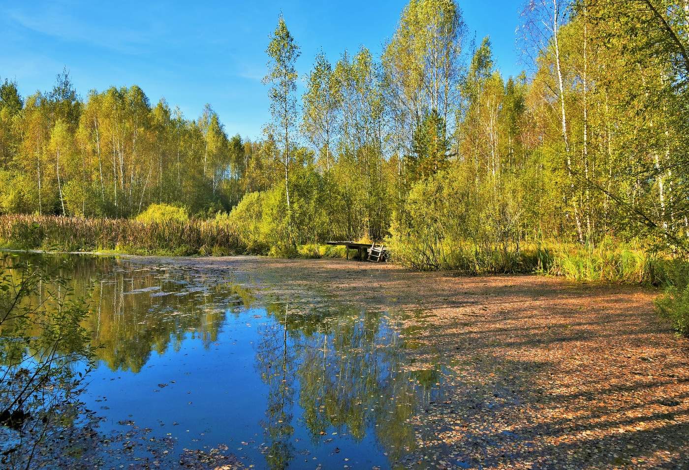 Осенний пруд ...