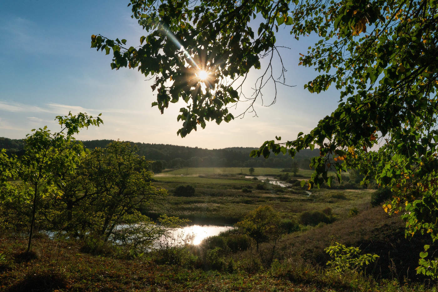 Солнечный день
