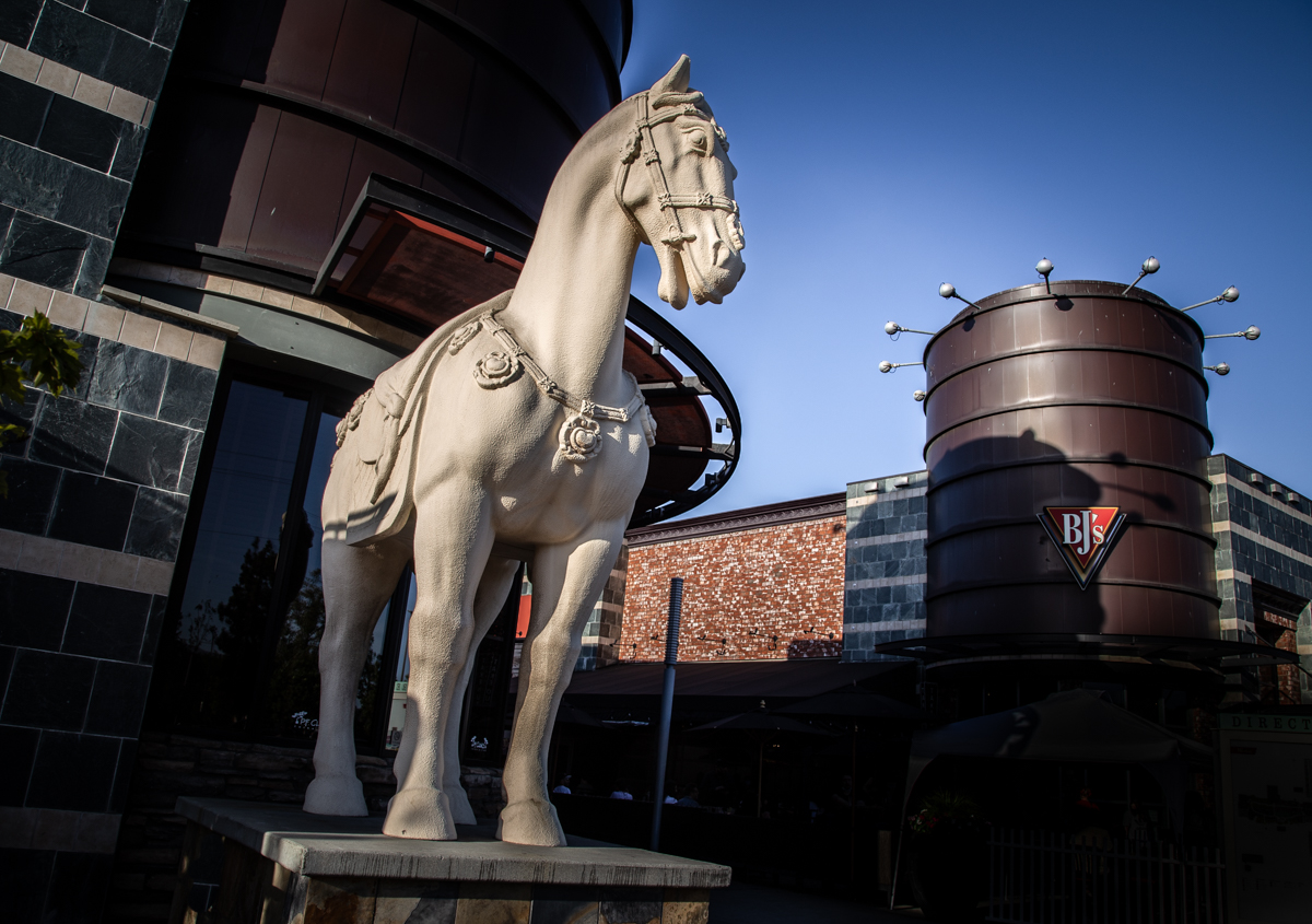 Конь в пальто