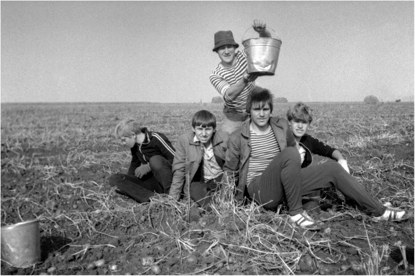 На картошке