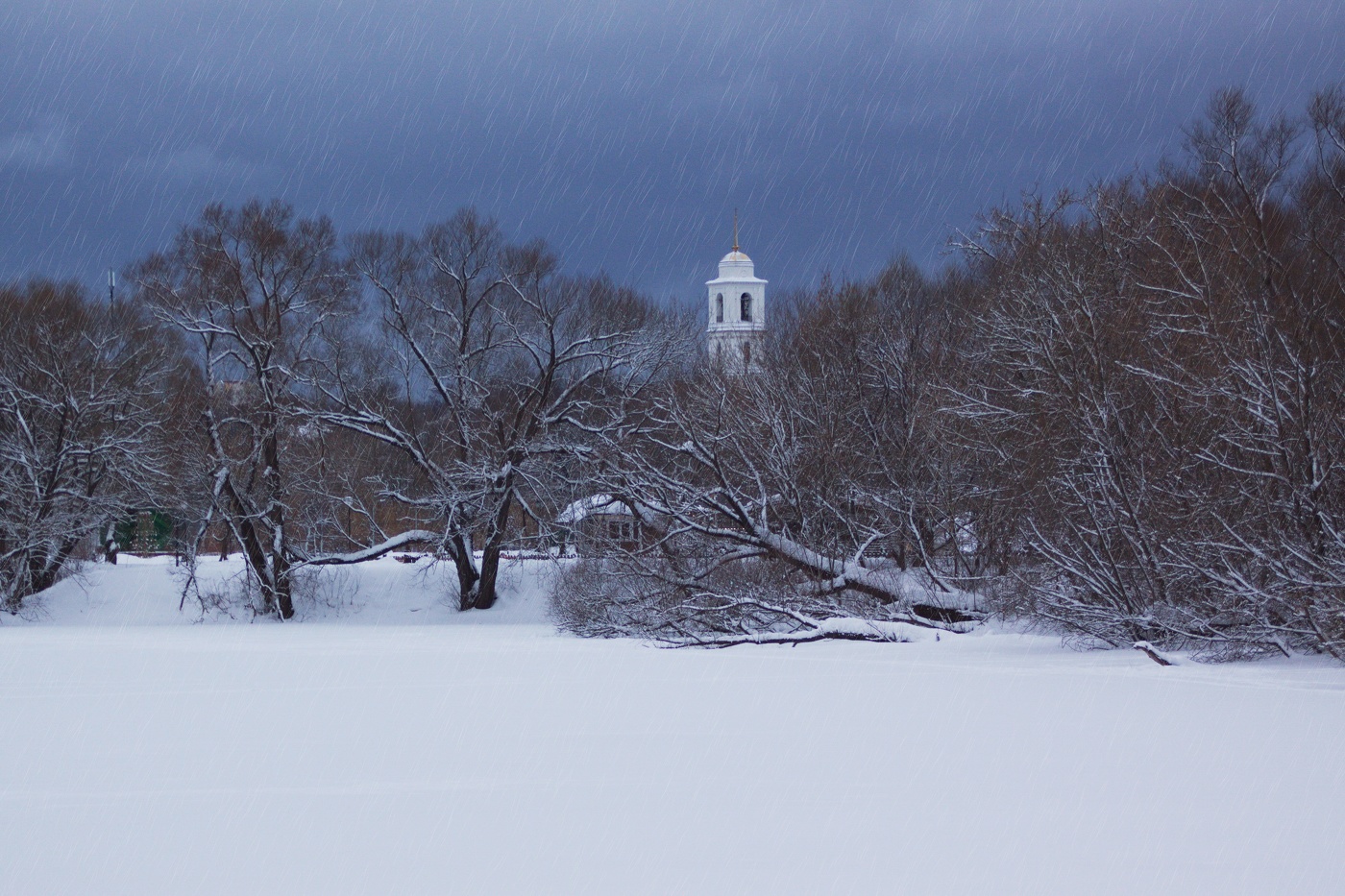 Глухозимье в Подмосковье