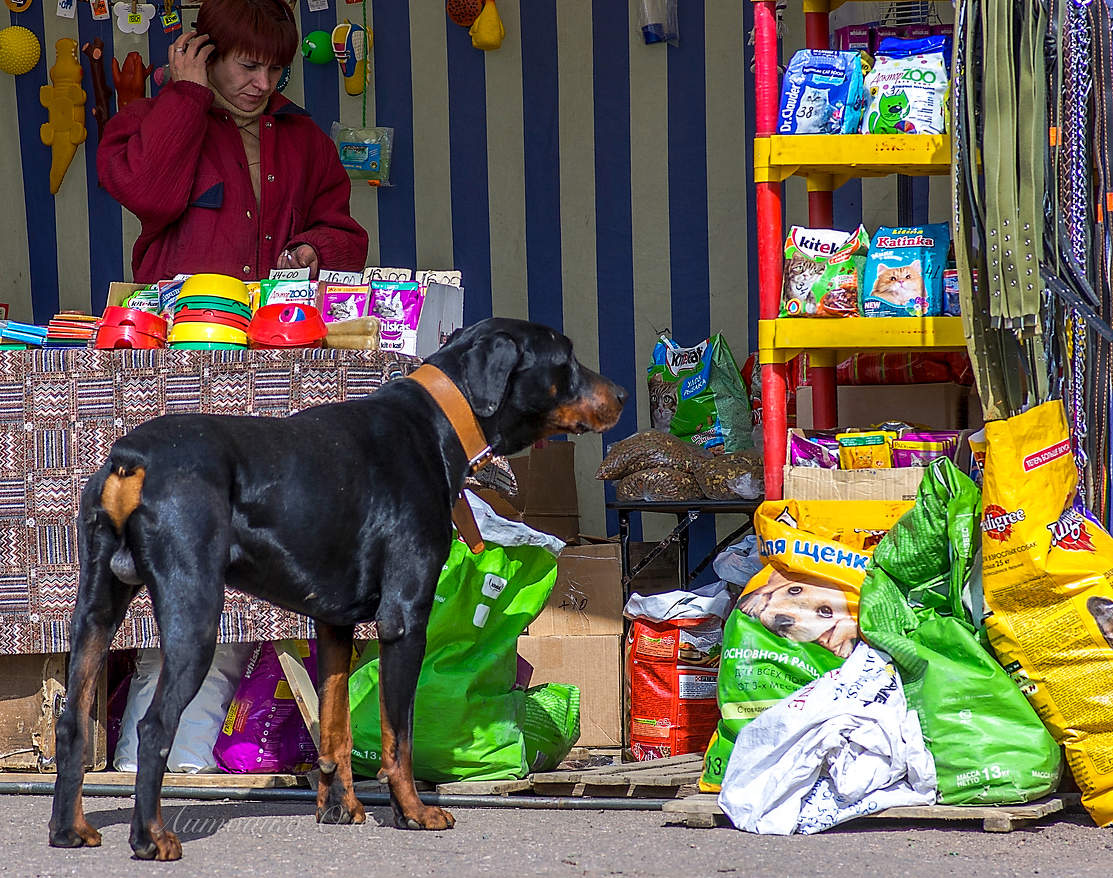 Что делать если пришёл без хозяина.