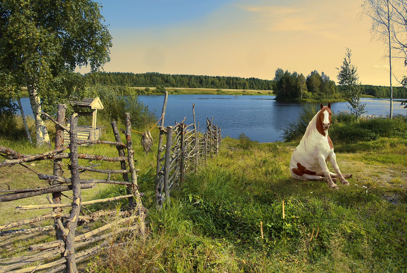 Ну, не смогла...