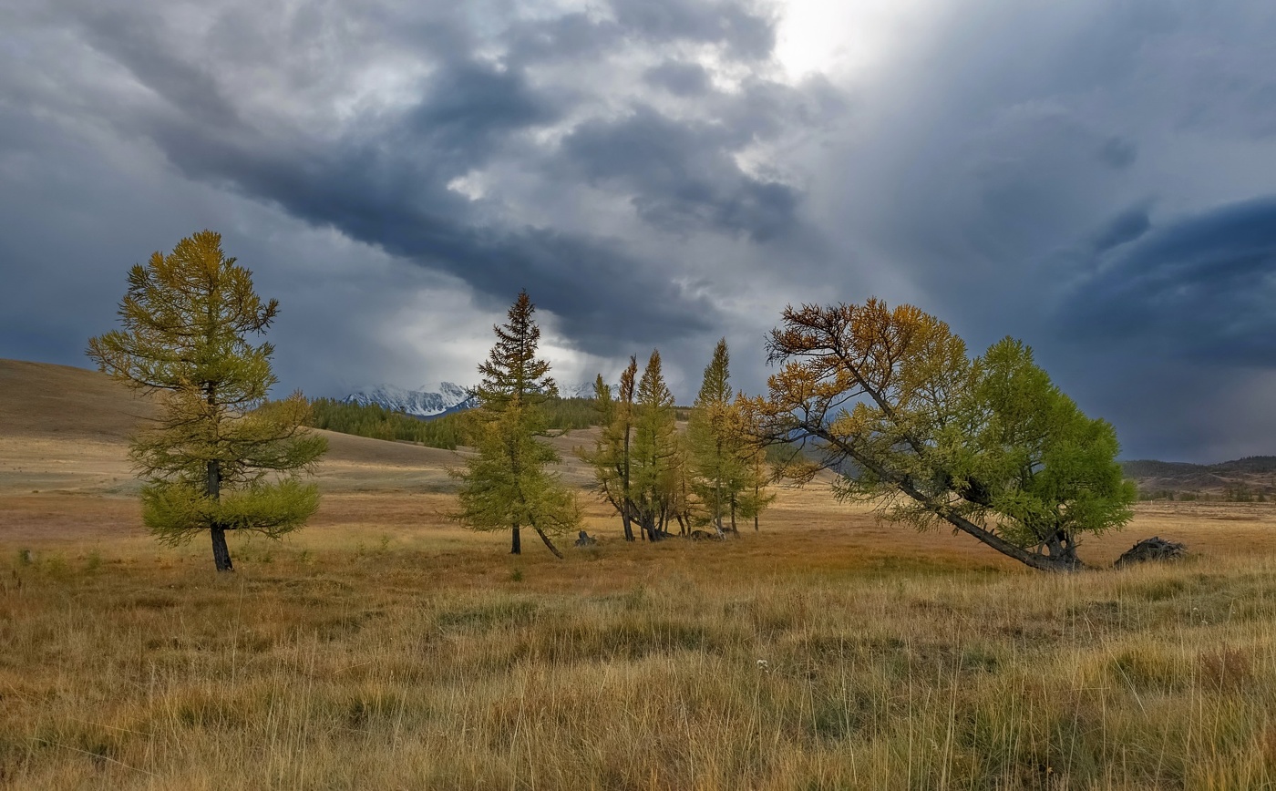 Перед дождем