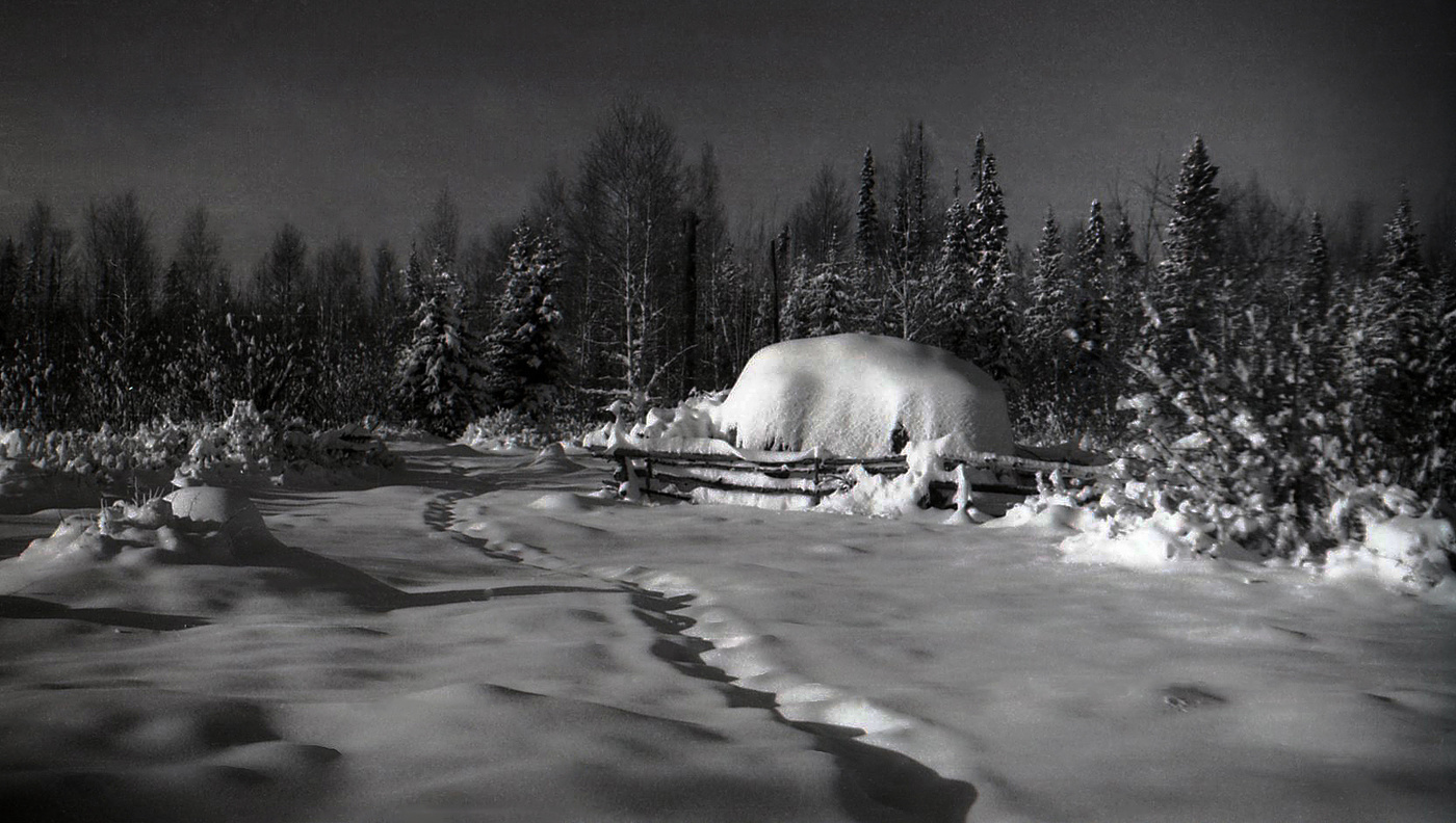 В зимнюю пору