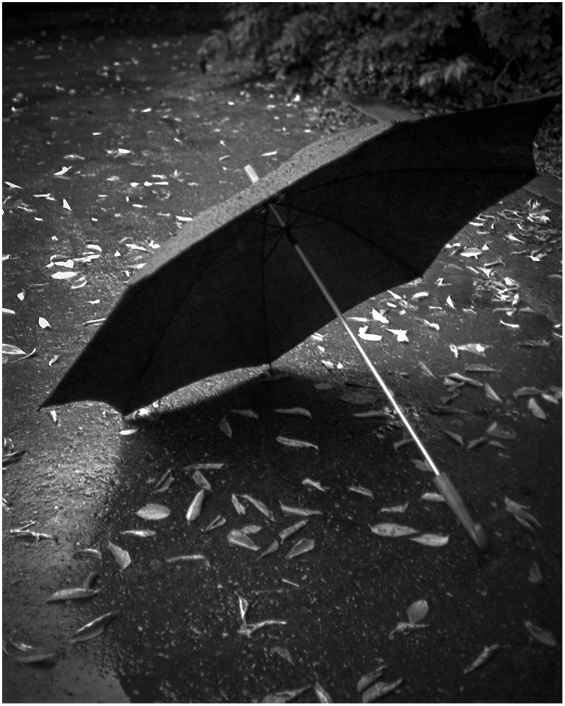 Концептуальный натюрморт