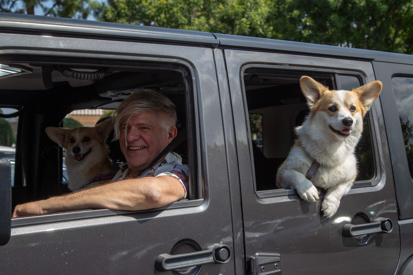 С ветерком и собачками