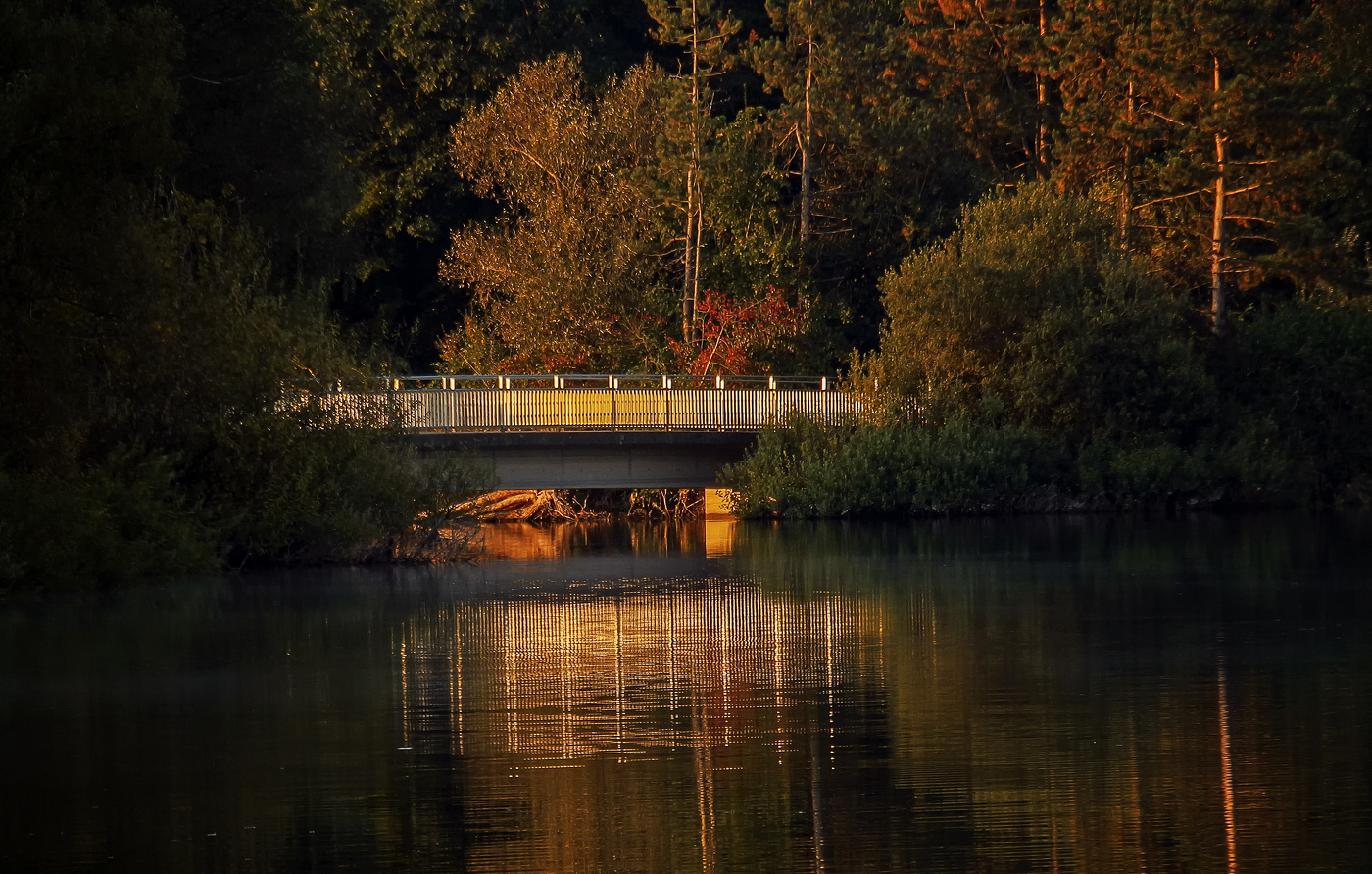 Утренний свет