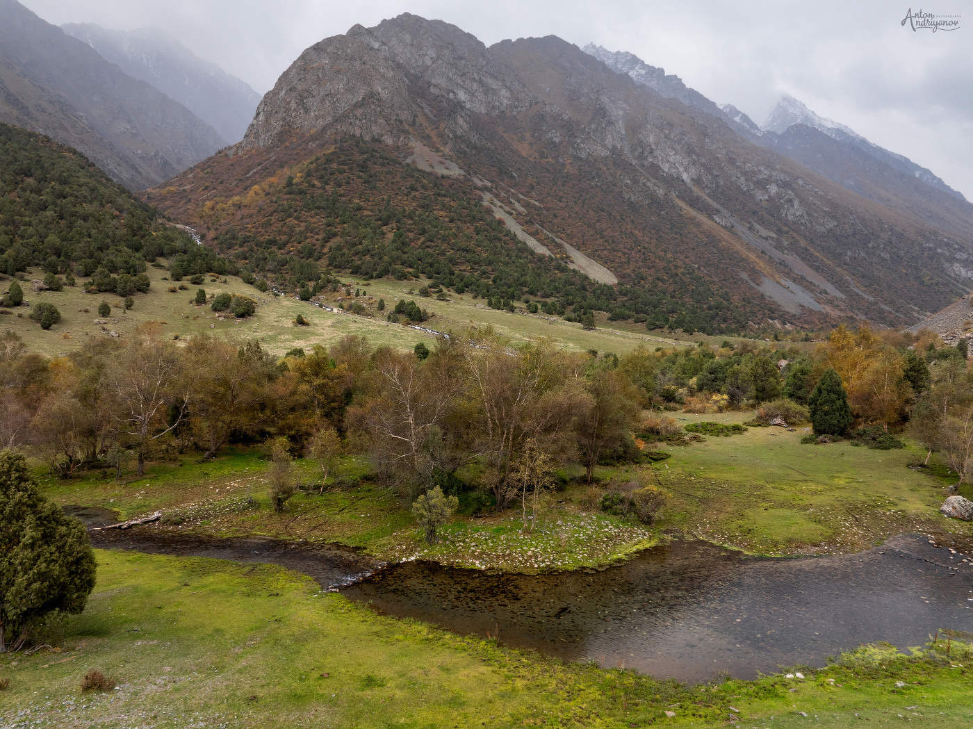 Тихая заводь