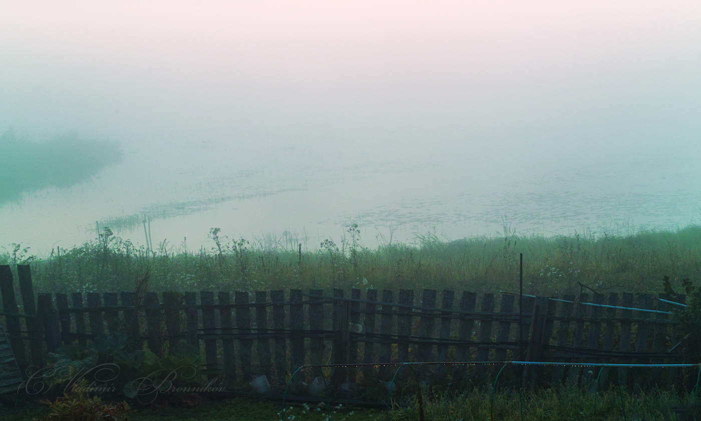 А за забором туман