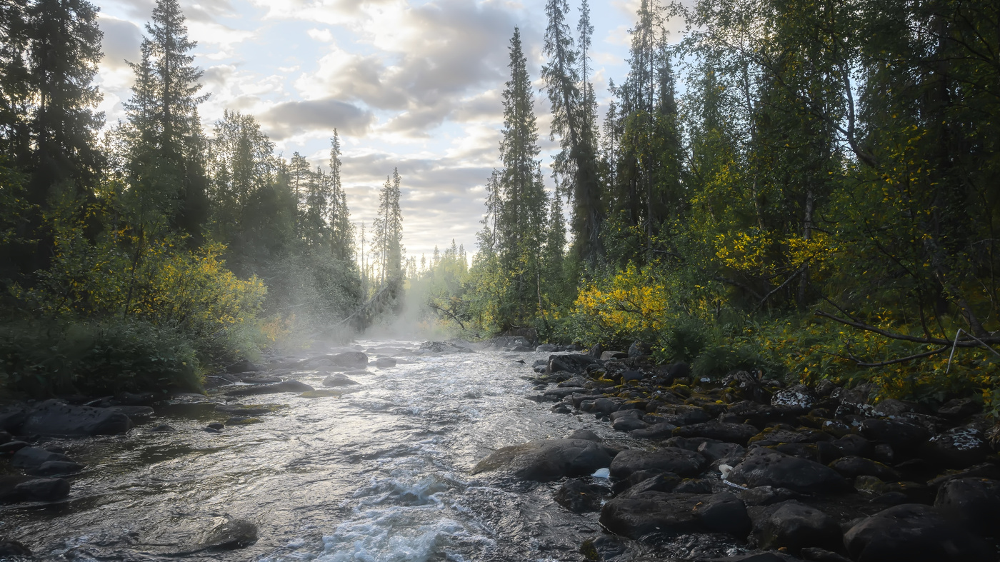Утро на Паке