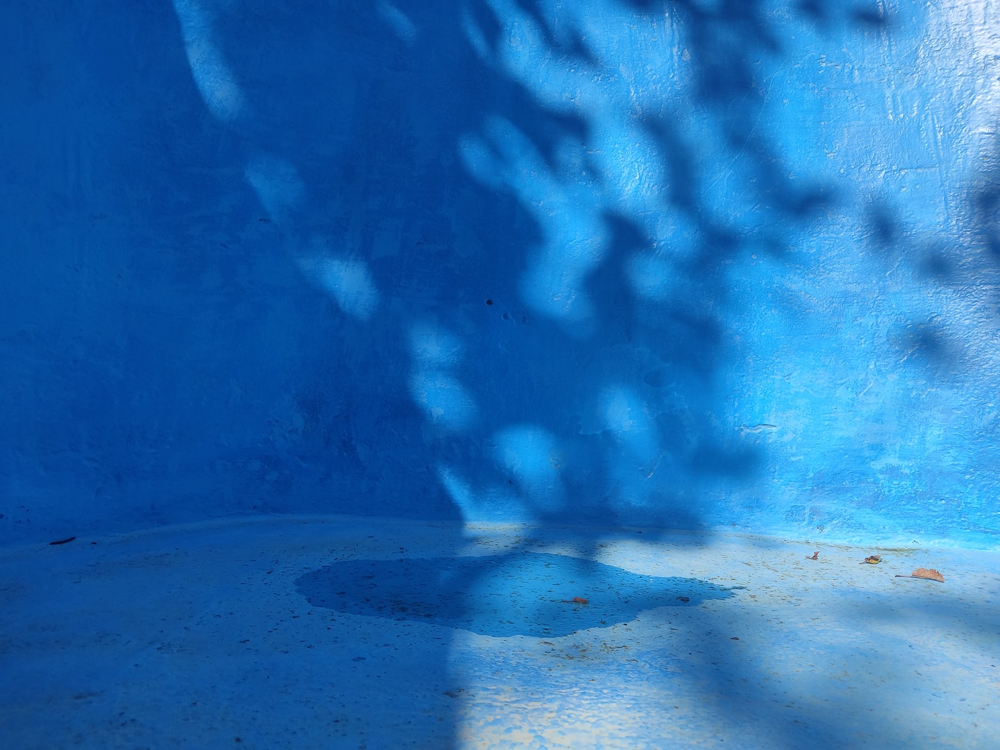 На небе только и разговоров