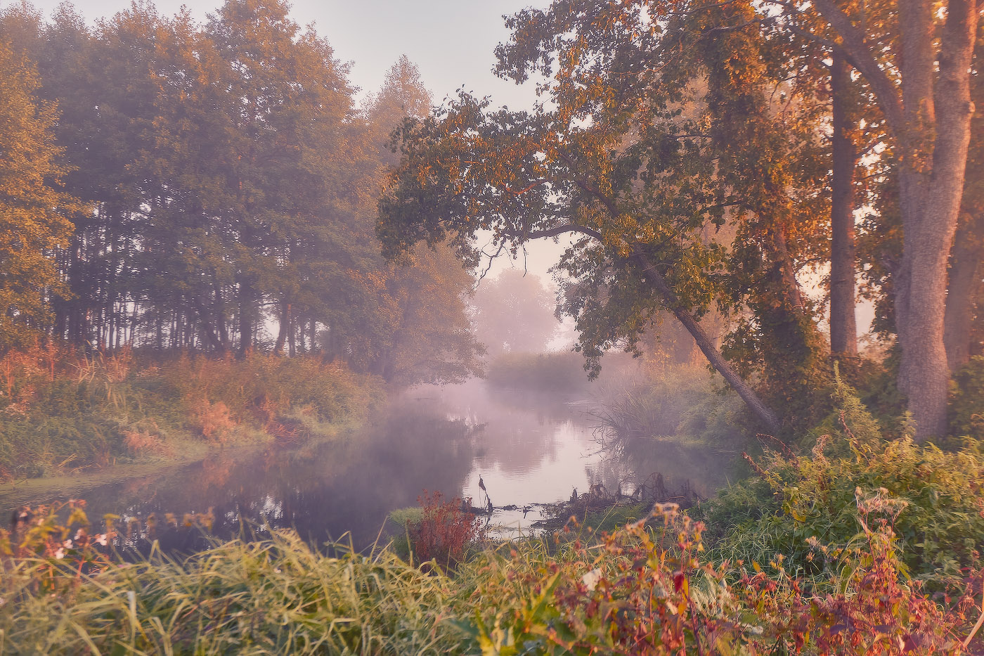 Усса. Тихое утро сентября