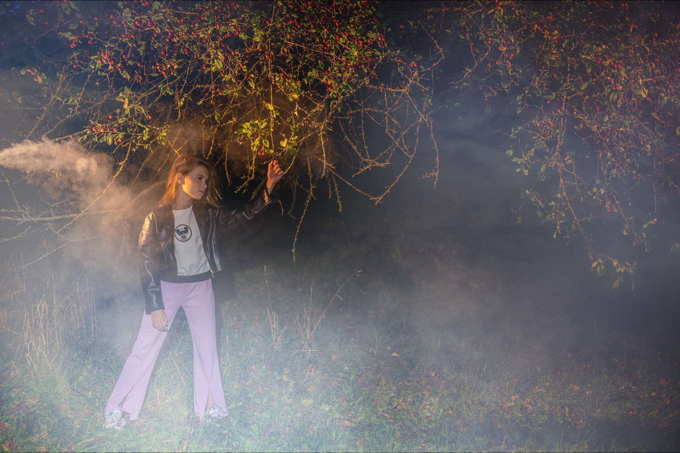 В ночном саду