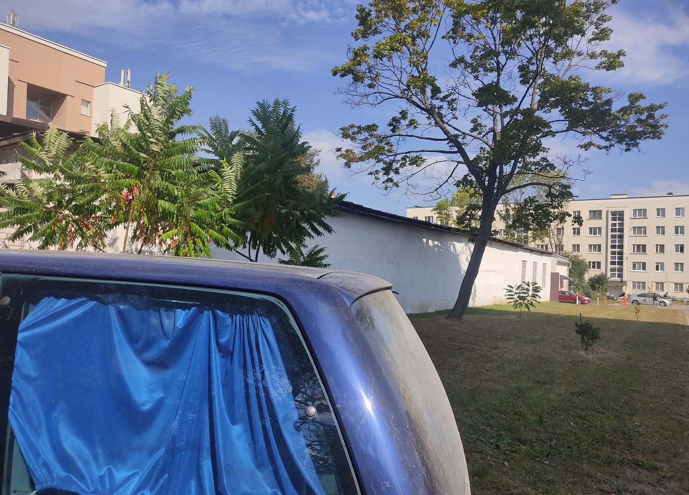 Пей за Ж (городской)