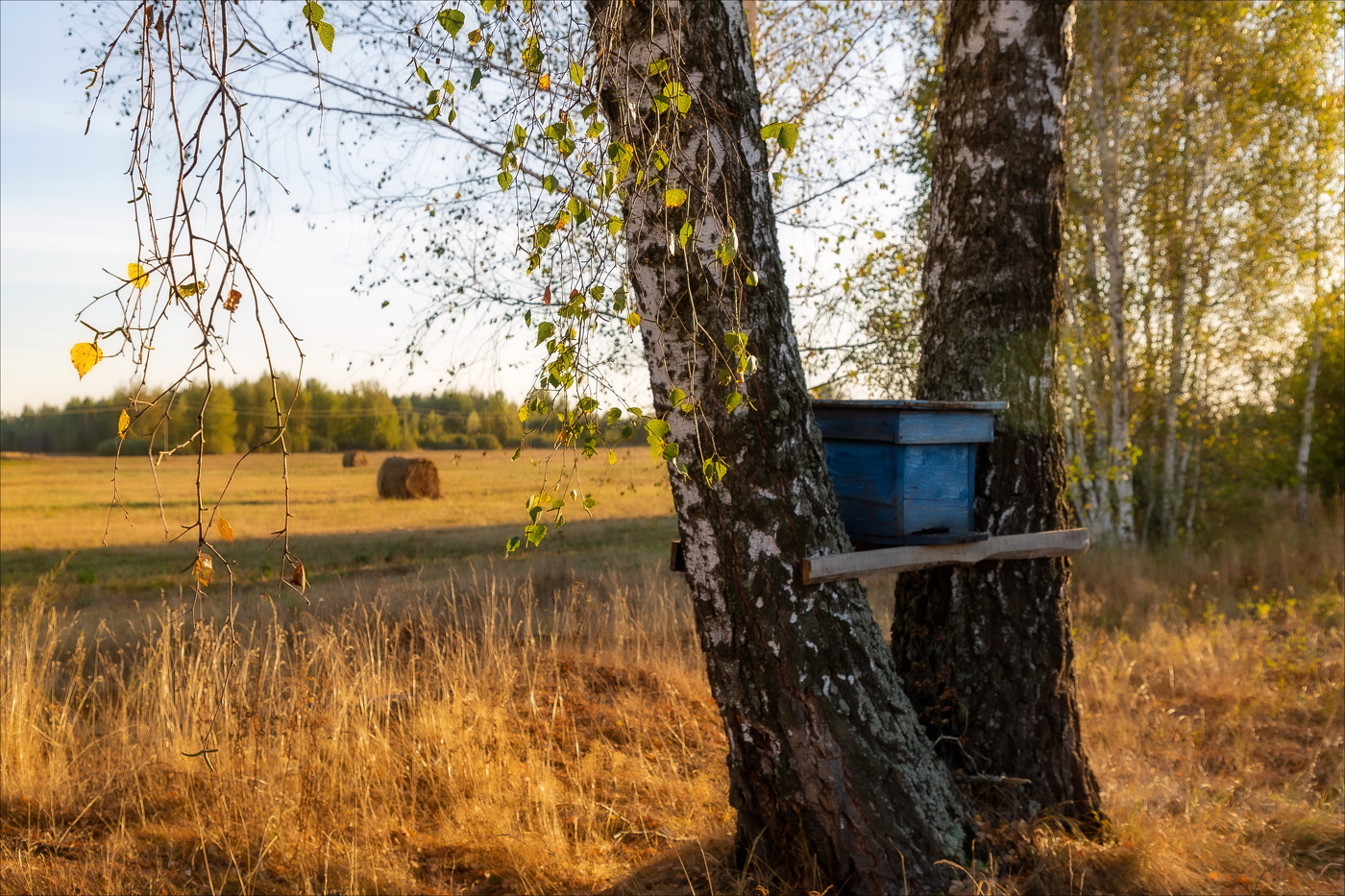 ВДЫХАЯ ОСЕНЬ