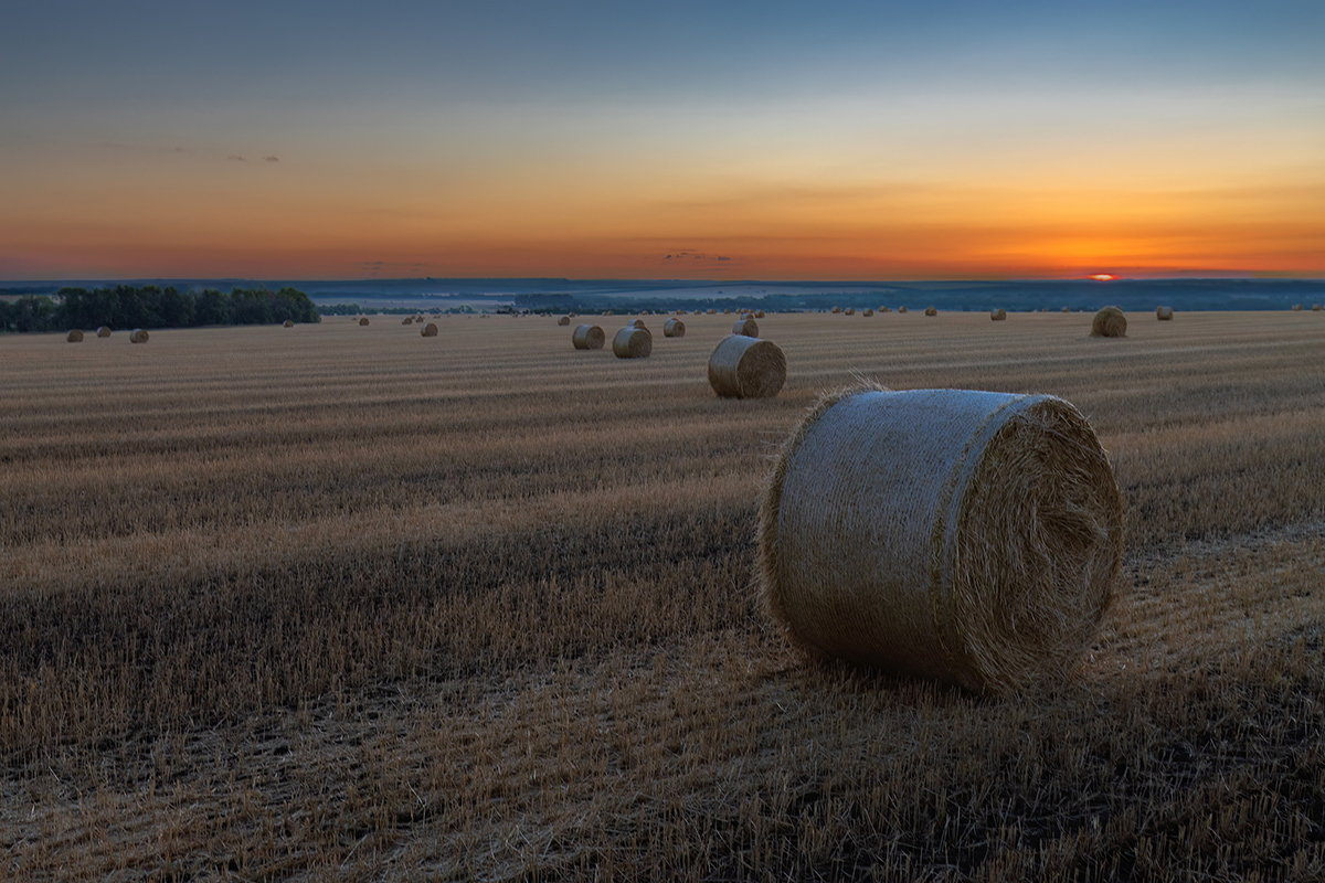 Пахнет соломой