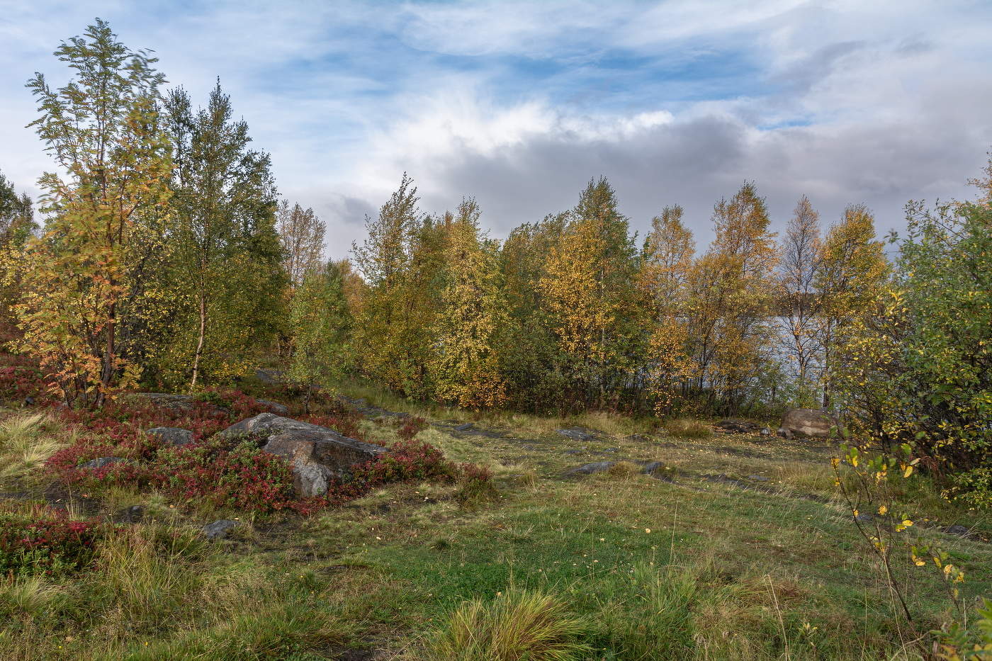 сентябрьский день
