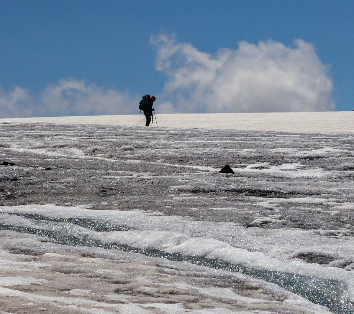 На талом леднике