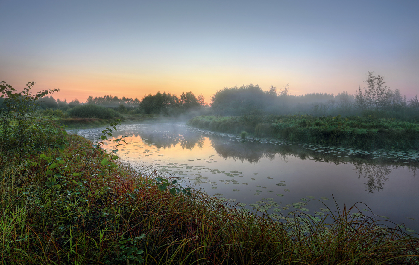 Тихая заводь