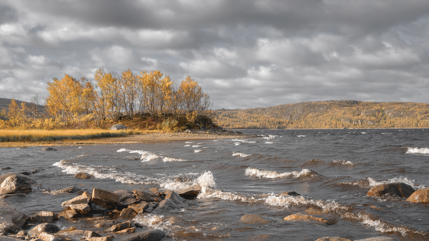 На наветренном берегу