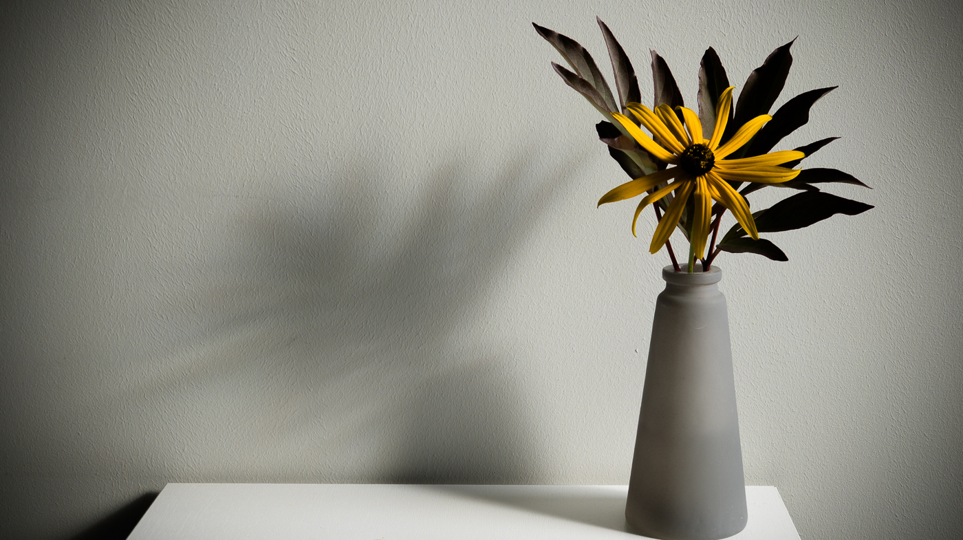 Осенний цвет