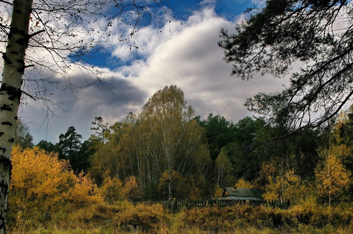 **Сентябрьским днём.*