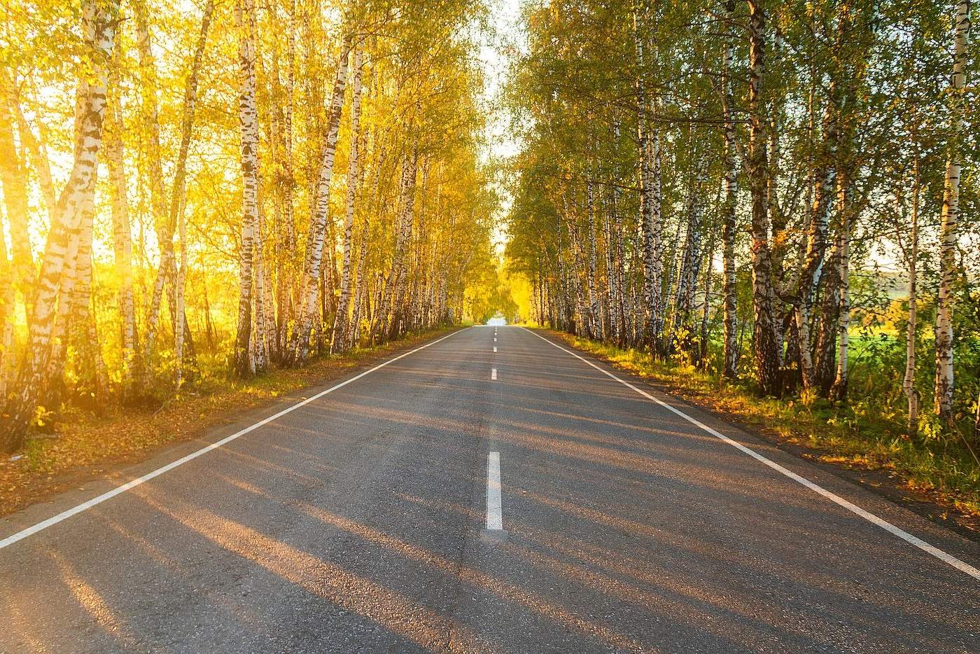 И снова осень