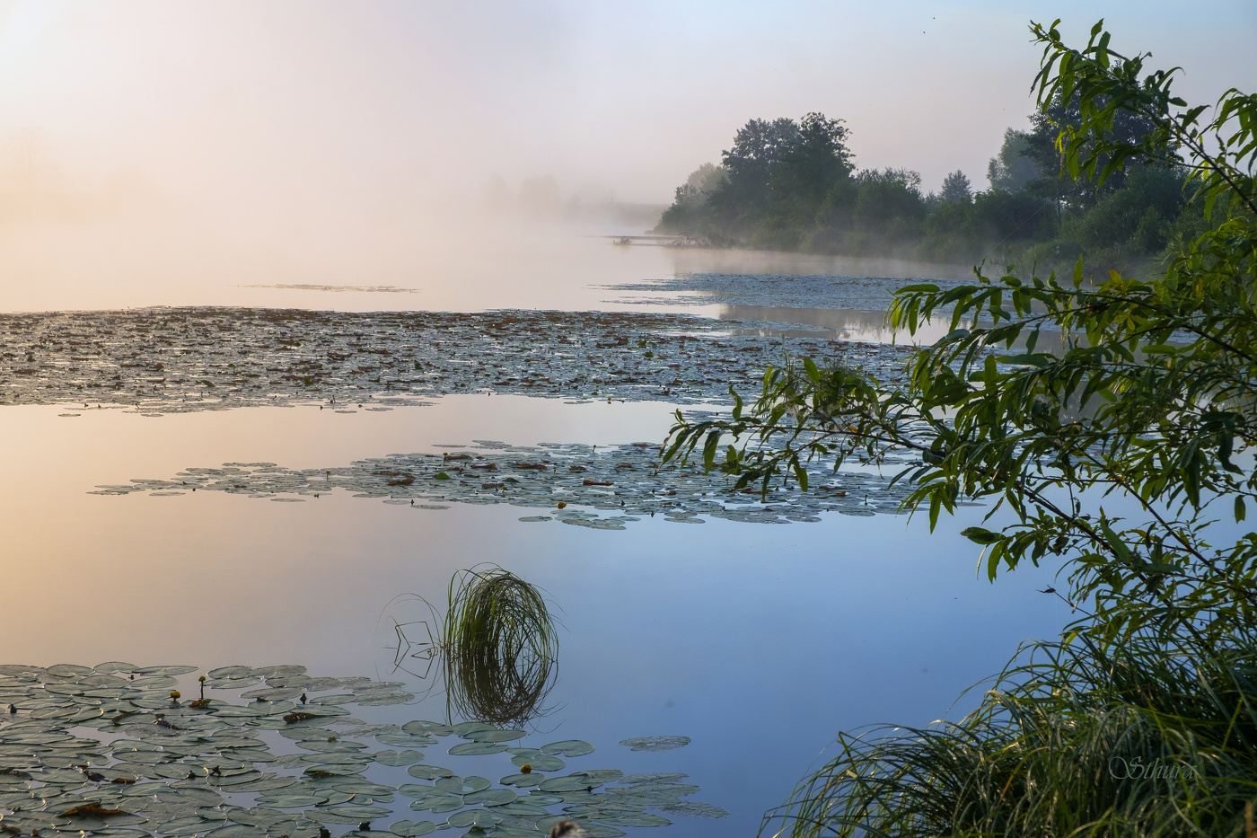 Лето. Озеро Сосновое.