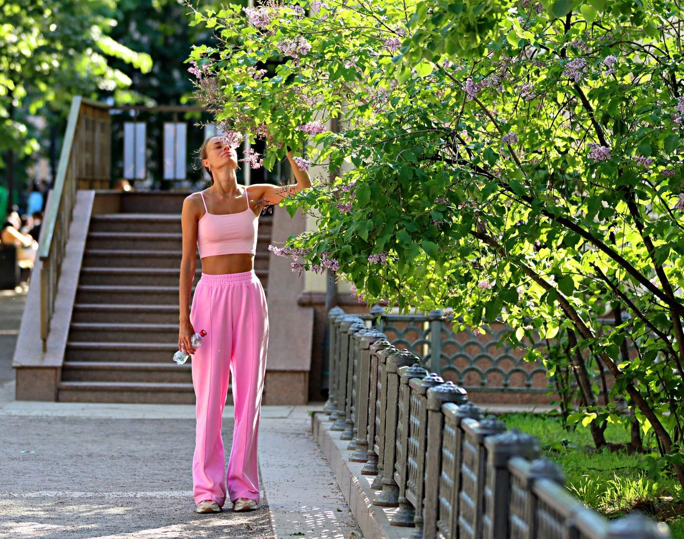 Запах сирени